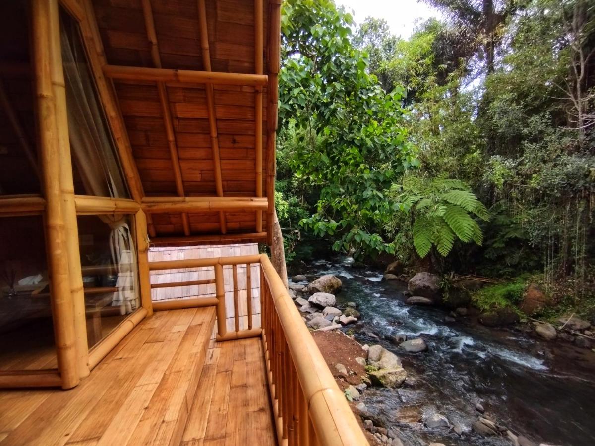 Aksha Riverside Ubud Tampaksiring エクステリア 写真