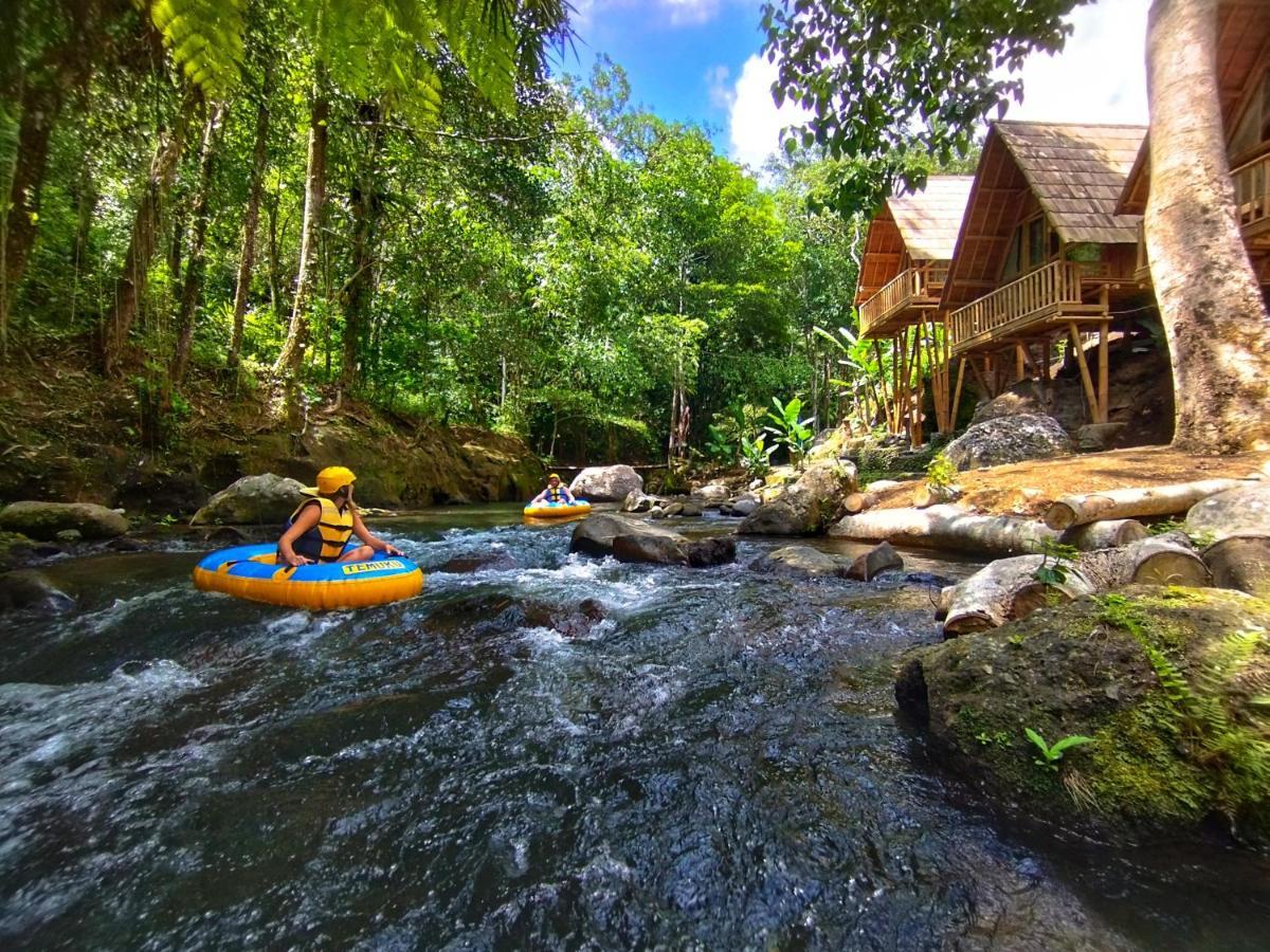 Aksha Riverside Ubud Tampaksiring エクステリア 写真