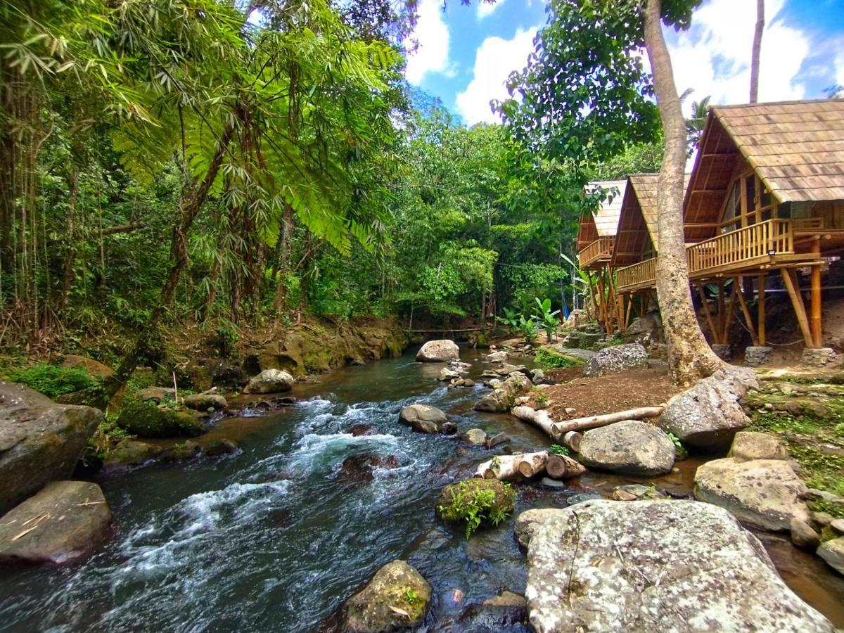 Aksha Riverside Ubud Tampaksiring エクステリア 写真
